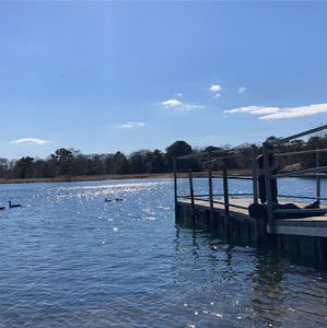 Meet your Posher, Violet